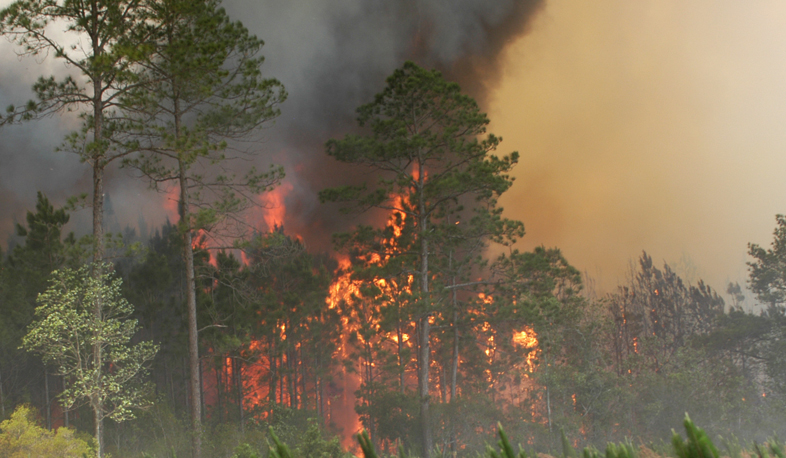 Fire in Khosrov forest