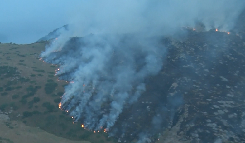 Green area of 16 km perimeter burnt in Khosrov reserve