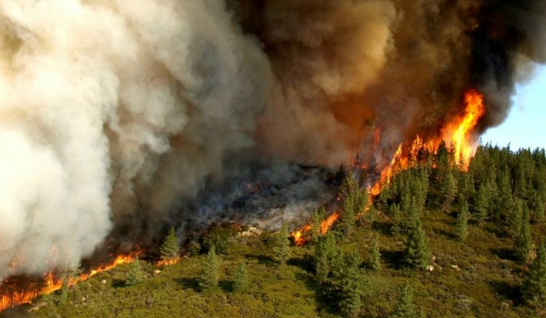 250 people work on extinguishing fire in Khosrov Reserve