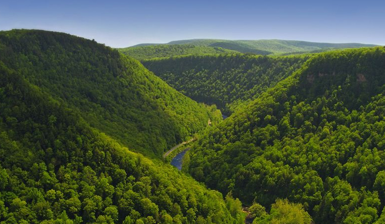 State of emergency in Armenian forests