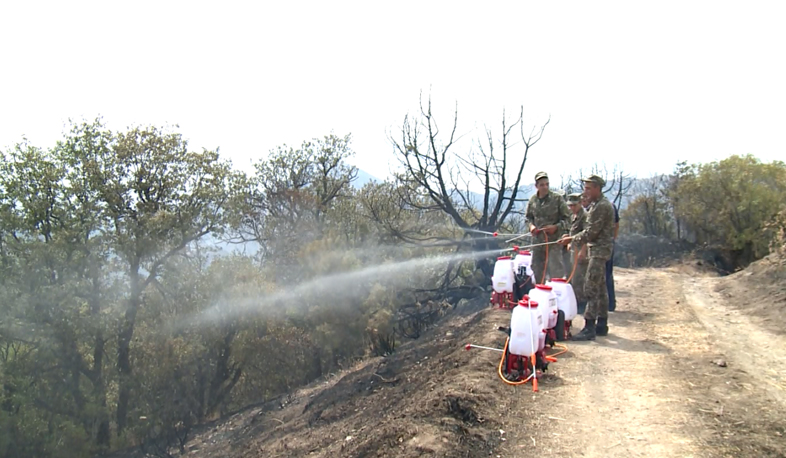 The firefighters continue fighting against smoking fire seats