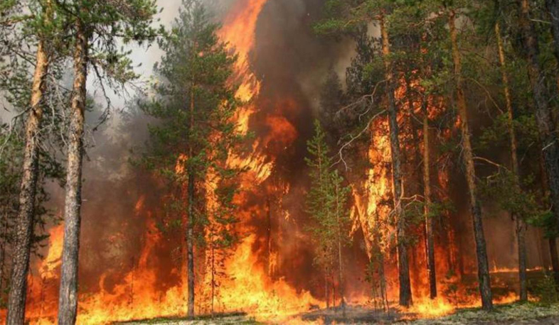 Armenian rescuers join Borjomi wildfire extinguishing works