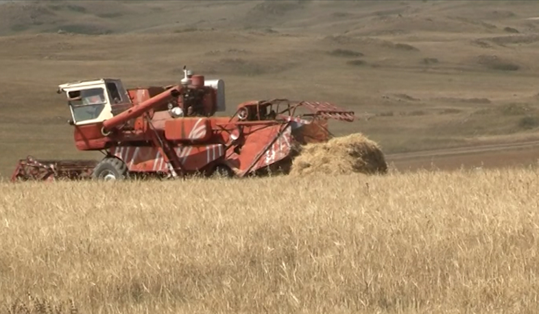 Dry weather and heat influenced wheat crop yield of Ghegharkunik