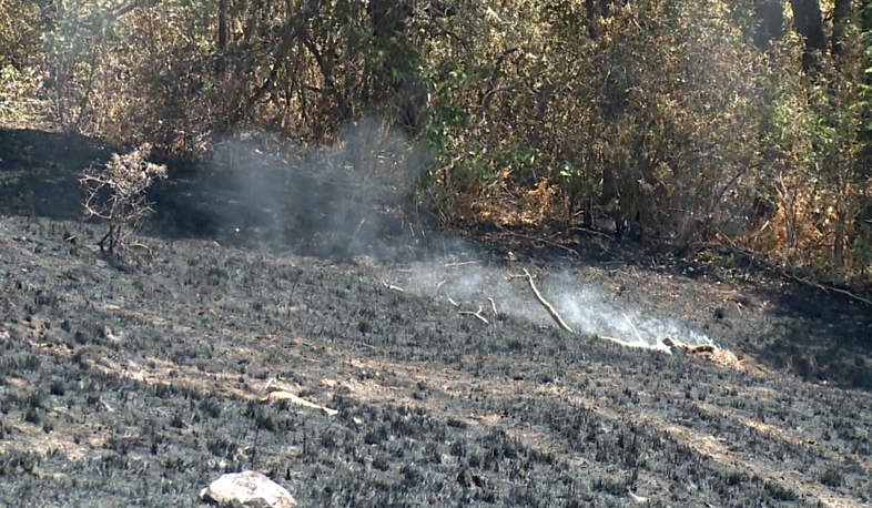 Smoke activity in Khustup reserve