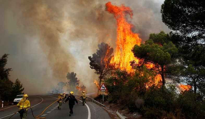 Fire-hazardous situation in Southern Caucasus