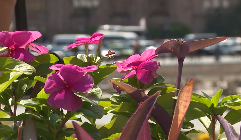 Hot weather does not retreat in Armenia