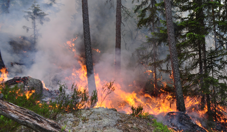 Wildfire in Byurakan