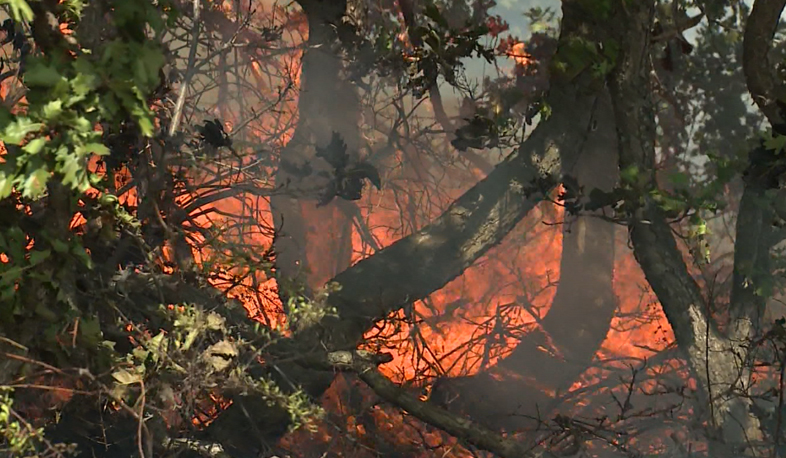 Firefighters continue struggling against Byurakan fire