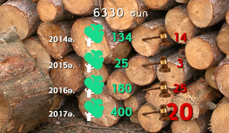 6500 trees cut in three years in Dilijan National Park