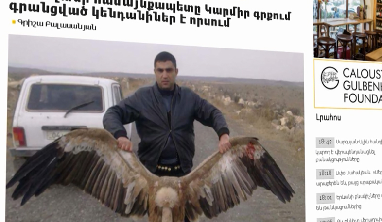 Griffon vulture poaching revealed