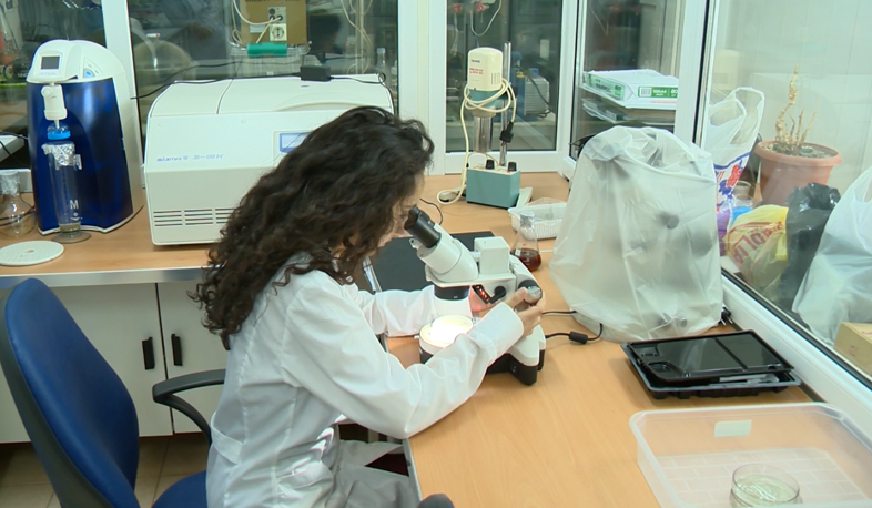 Masterpieces in Yerevan laboratories