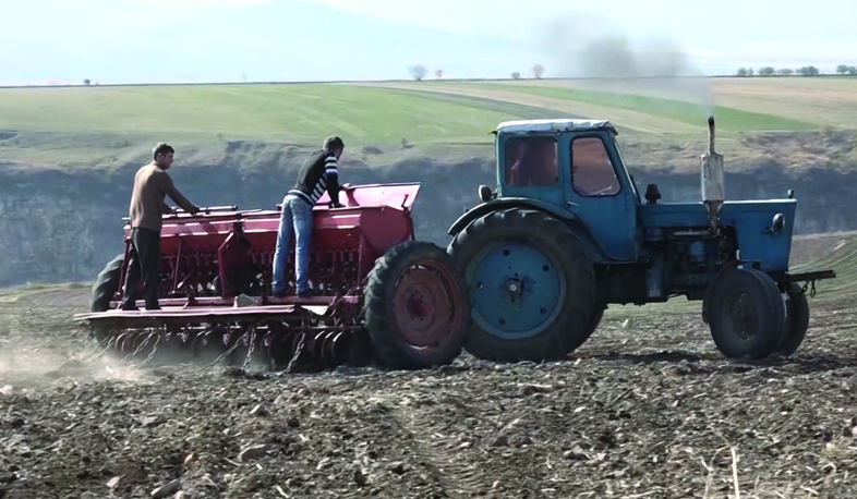 Autumn sowing in Lori