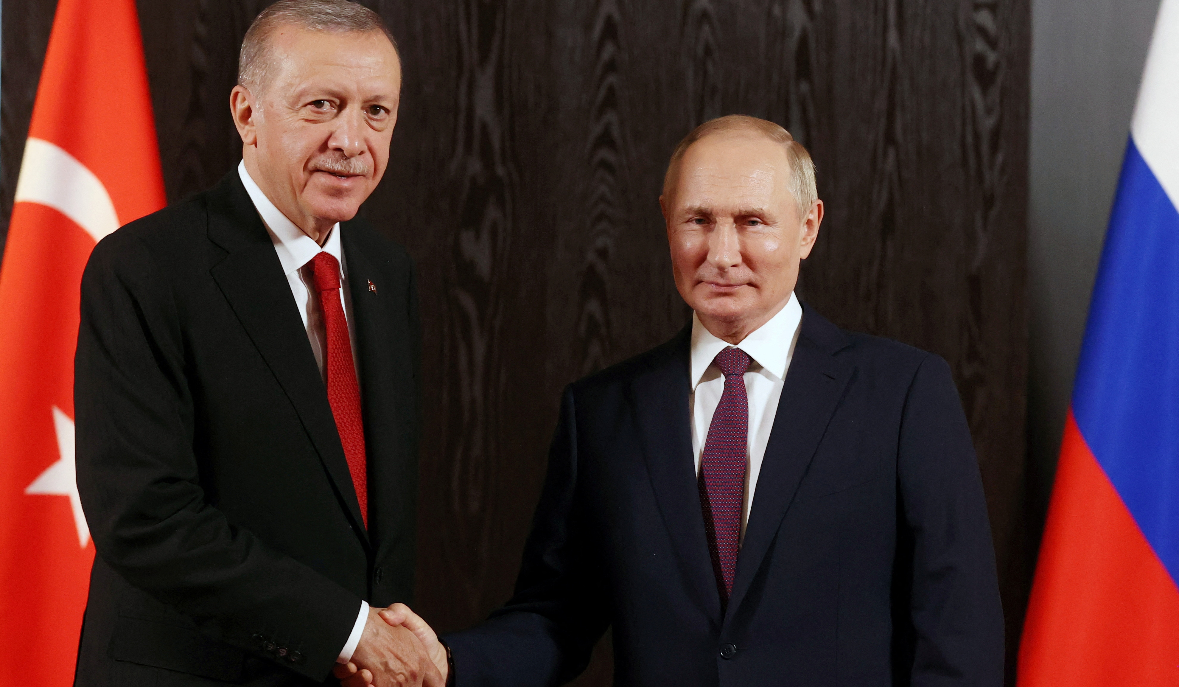 Putin and Erdogan discuss details of creating gas hub in Turkey: Kremlin