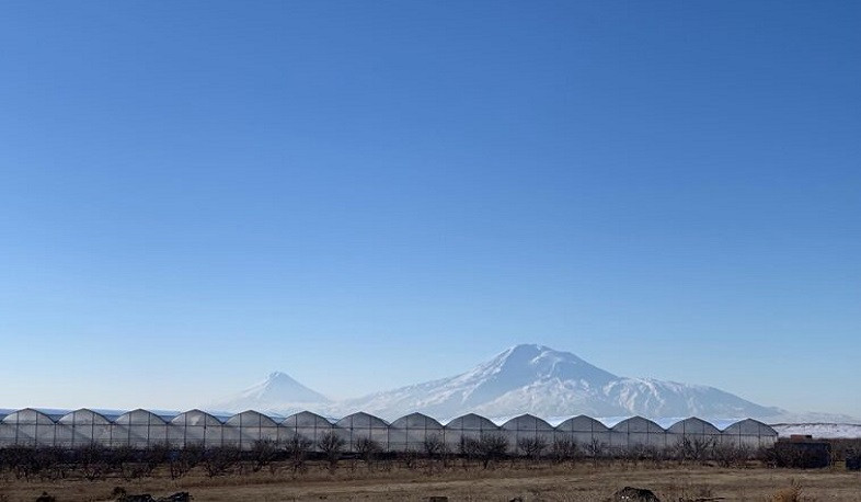 ԱՆԻՖ-ի նոր ներդրումը գյուղատնտեսության ոլորտում