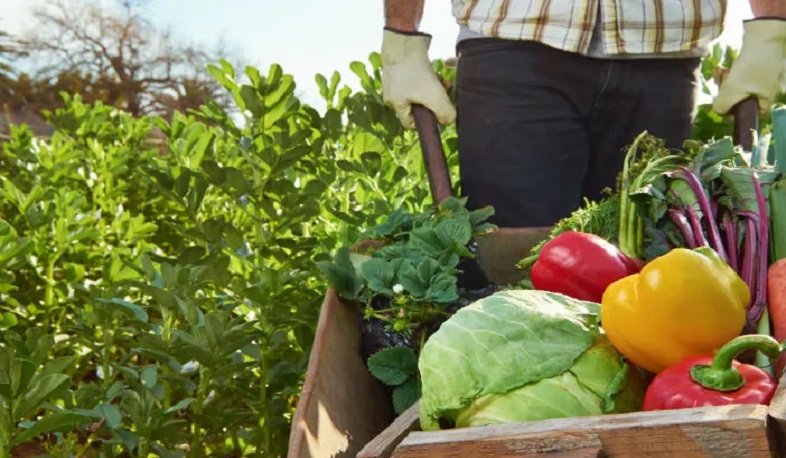 Օրգանական գյուղատնտեսական արտադրանքի պահպանման, փոխադրման, իրացման պայմանների խախտումների դեպքերում առաջարկվում է սահմանել վարչական տուգանքներ