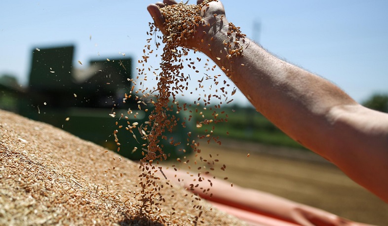 Bulgarian farmers resume protests over cheap Ukrainian grain