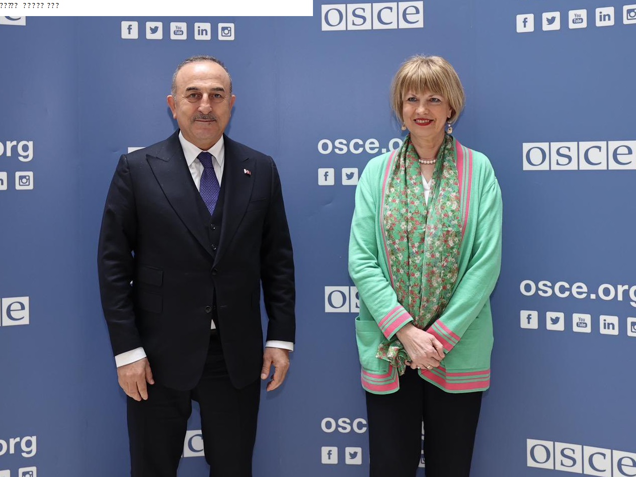 Çavuşoğlu and Schmid discussed events taking place in Ukraine and South Caucasus