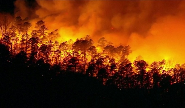 Firefighters battle blaze in south of France in first major forest fire of 2023