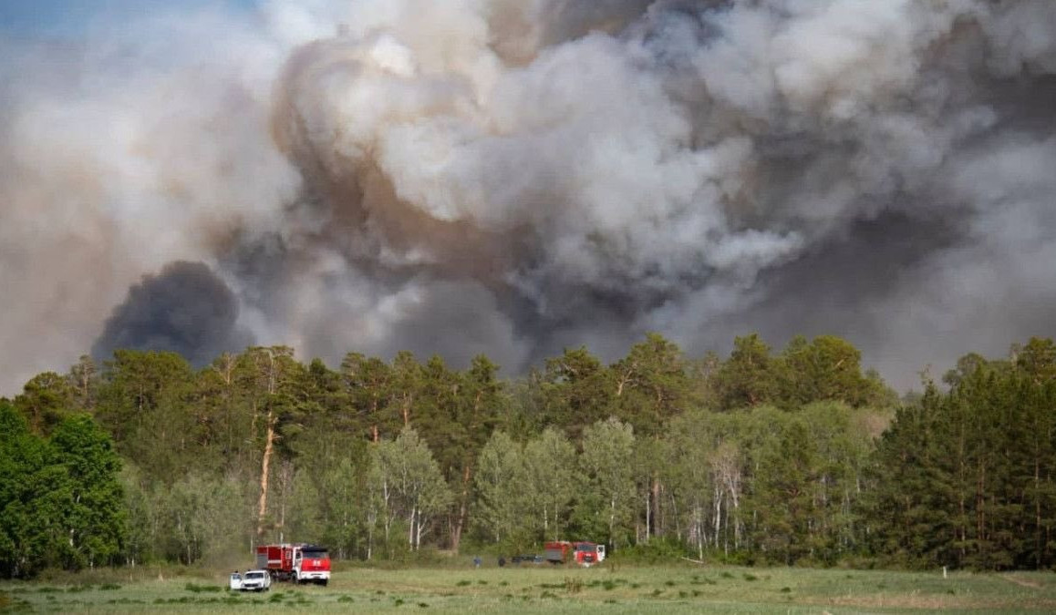 Armenia's Foreign Ministry offers condolences over deadly forest fires in Kazakhstan