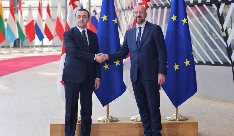 Garibashvili and Michel emphasized importance of granting Georgia EU candidate status at end of year