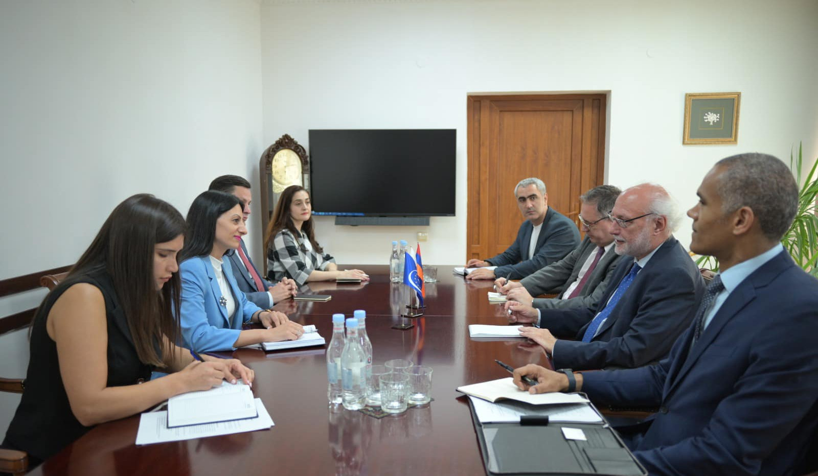 Anahit Manasyan presented humanitarian consequences caused by blocking of Lachin Corridor to Director of Political Affairs of CoE