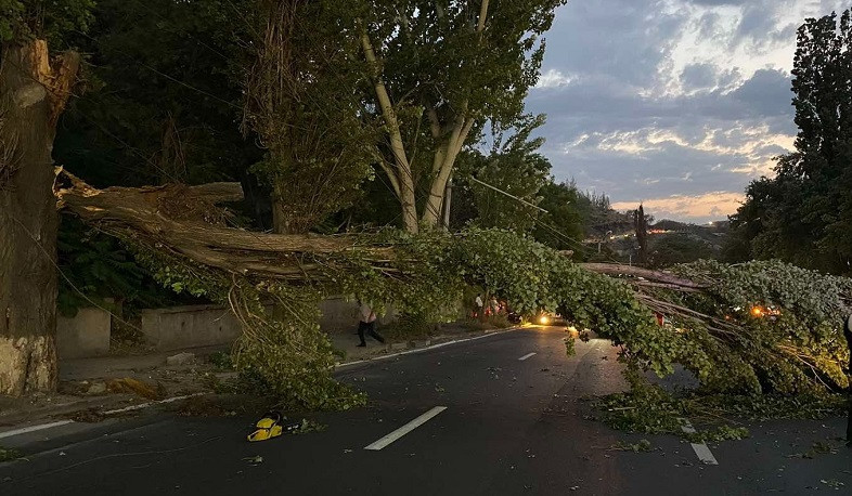 Վնասներ քամու հետևանքով