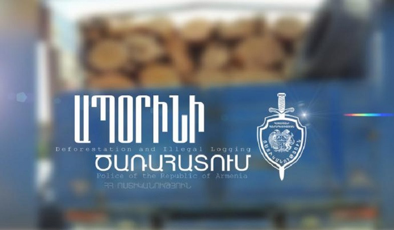 Իրավապահները «ԳԱԶ-53»-ում 3,5 խմ փայտանյութ են հայտնաբերել. 13 կանգուն ծառ էր հատվել