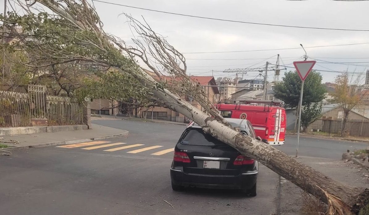 Քամու հետևանքով ծառը շրջվել է կայանած ավտոմեքենայի վրա․ օգնության են հասել փրկարարները