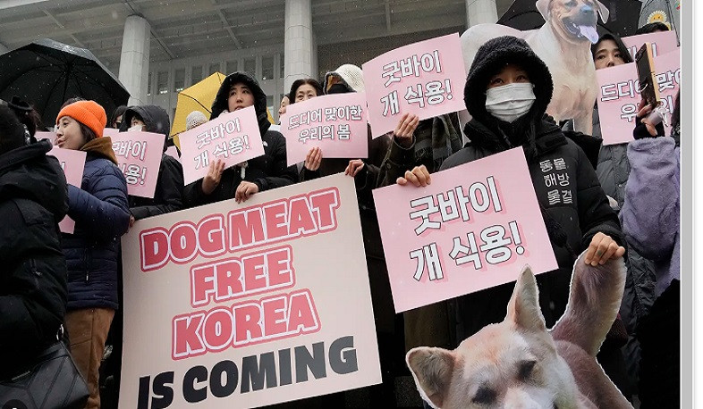 S. Korea parliament passes bill to prohibit consumption of dog meat