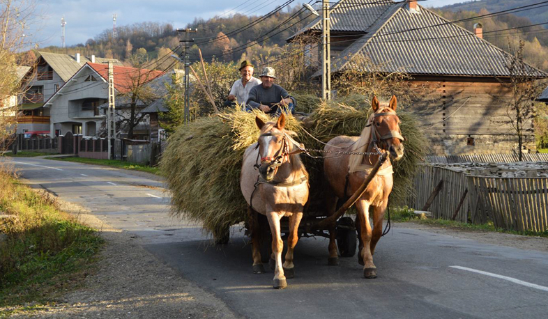 Moldovan villages join Romania