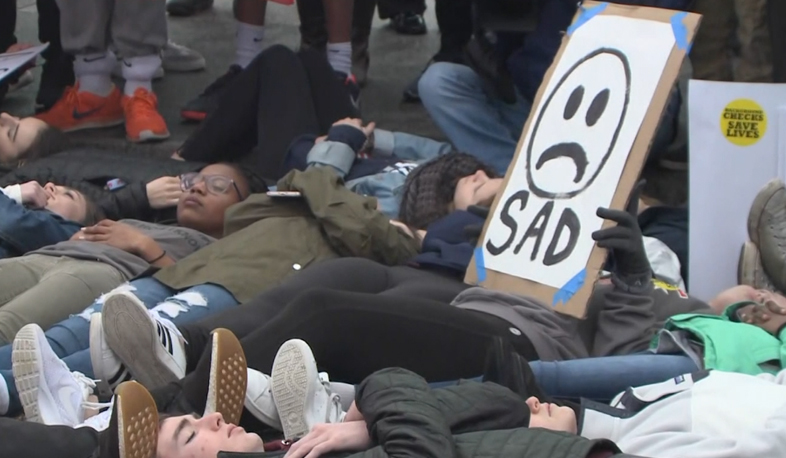 Lie in protest in front of the White House