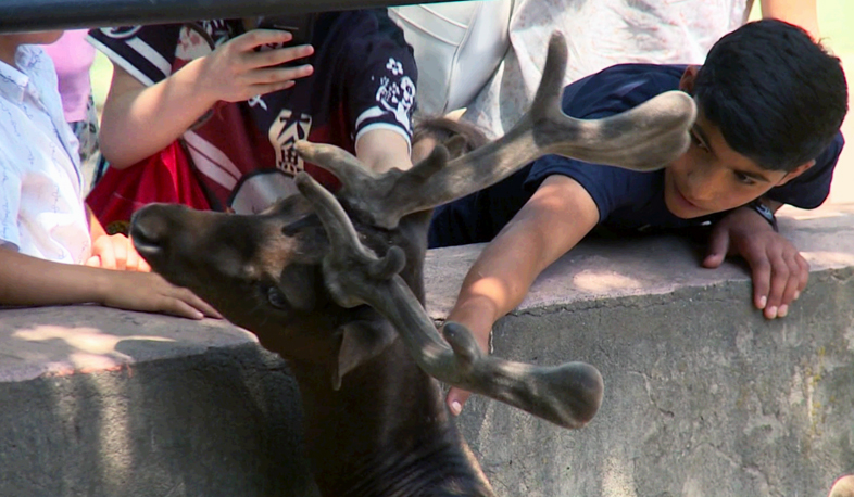 Zoo claims no animal is sick