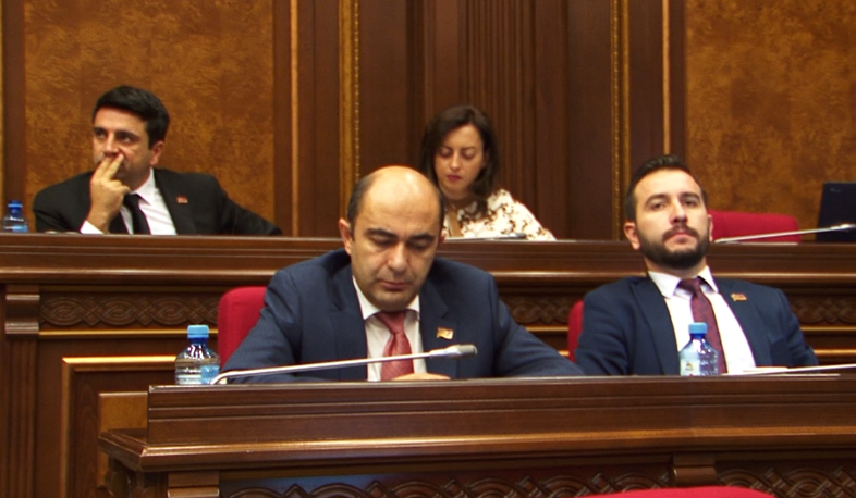 Parliament discusses Manvel Grigoryan’s immunity