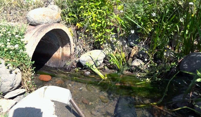 Irrigation water mixes with drinking water in Doghs