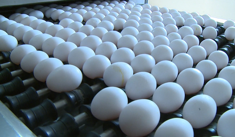 Food Safety Inspectorate at odds with egg importer