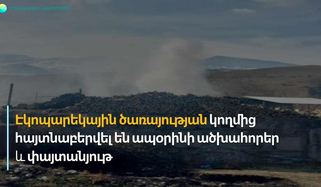 Էկոպարեկային ծառայության կողմից հայտնաբերվել են ապօրինի ածխահորեր և փայտանյութ