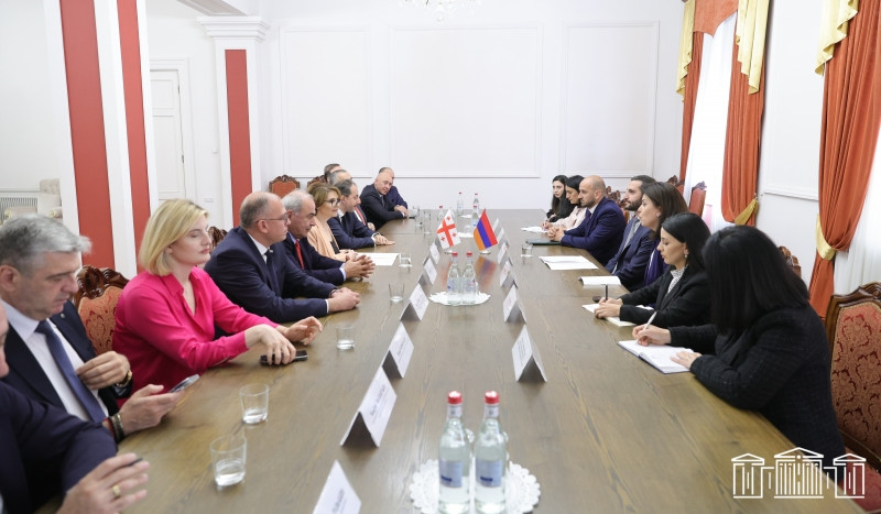 Ruben Rubinyan receives delegation led by Chair of Culture Committee of Georgian Parliament