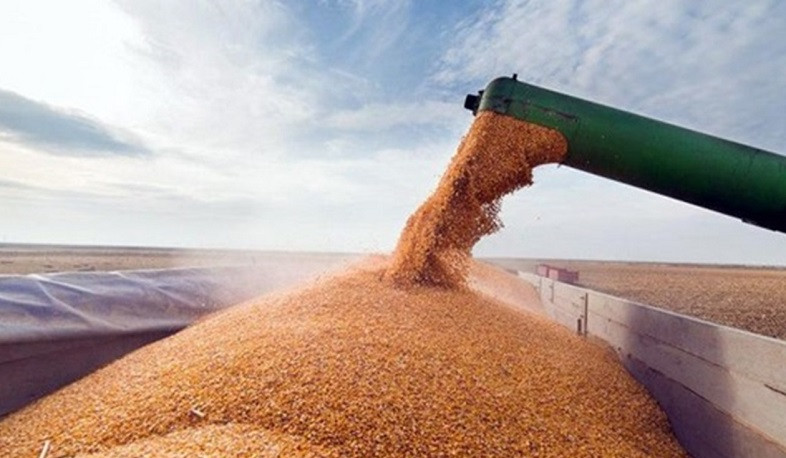 India is not going to buy Russian grain: Ambassador of India to Russia