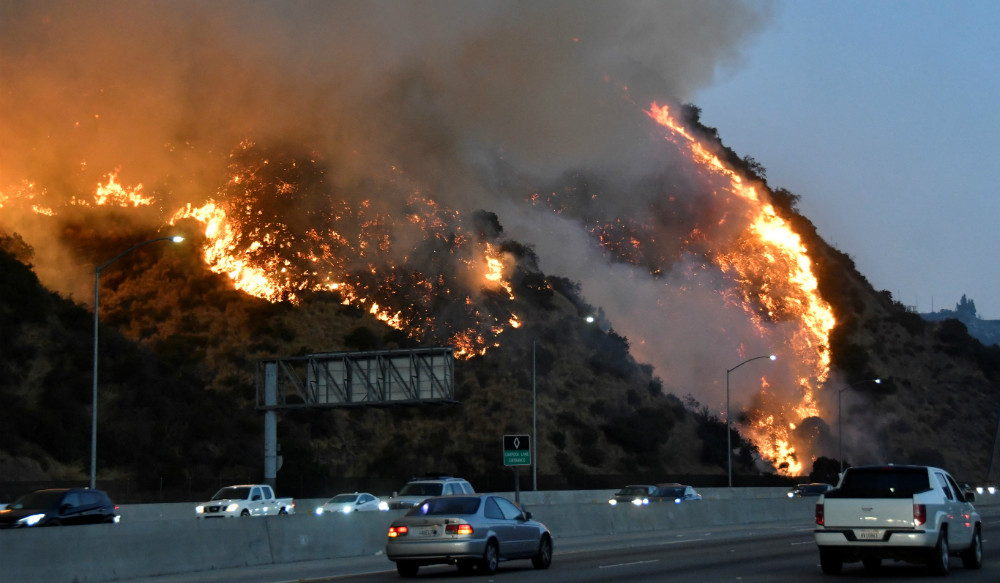 Более 1200 человек эвакуировали из-за лесного пожара в Калифорнии