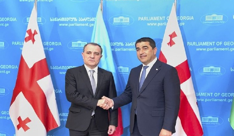 Грузия всегда готова внести свой вклад в региональную мир стабильность: Папуашвили
