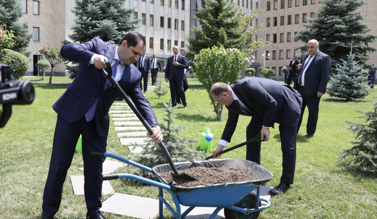 Minister of Defense of Georgia planted fir tree in territory of administrative complex of Ministry of Defense