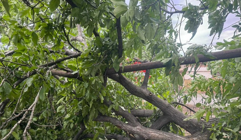 Ուժեղ քամու հետևանքով Երևանում վնասվել են տանիքների ծածկեր, թիթեղներ, տապալվել են ծառեր
