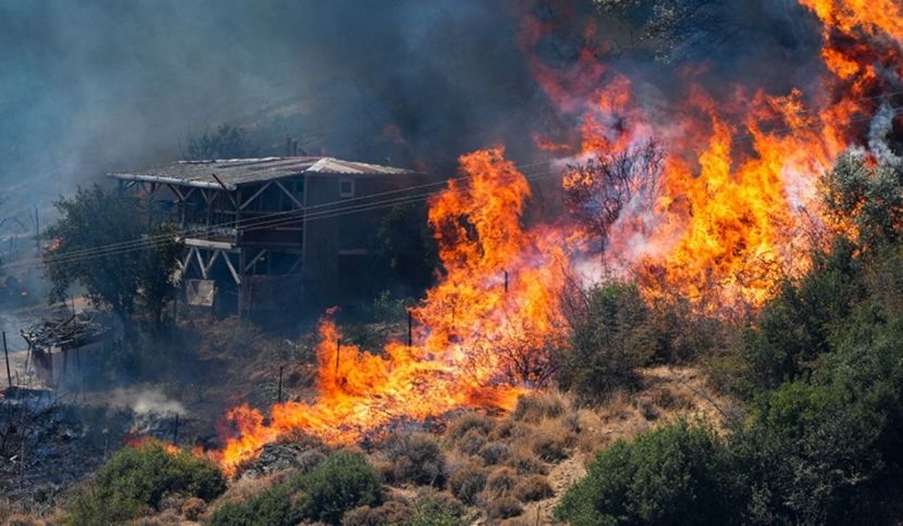 Wildfires damage houses and businesses in west Turkey