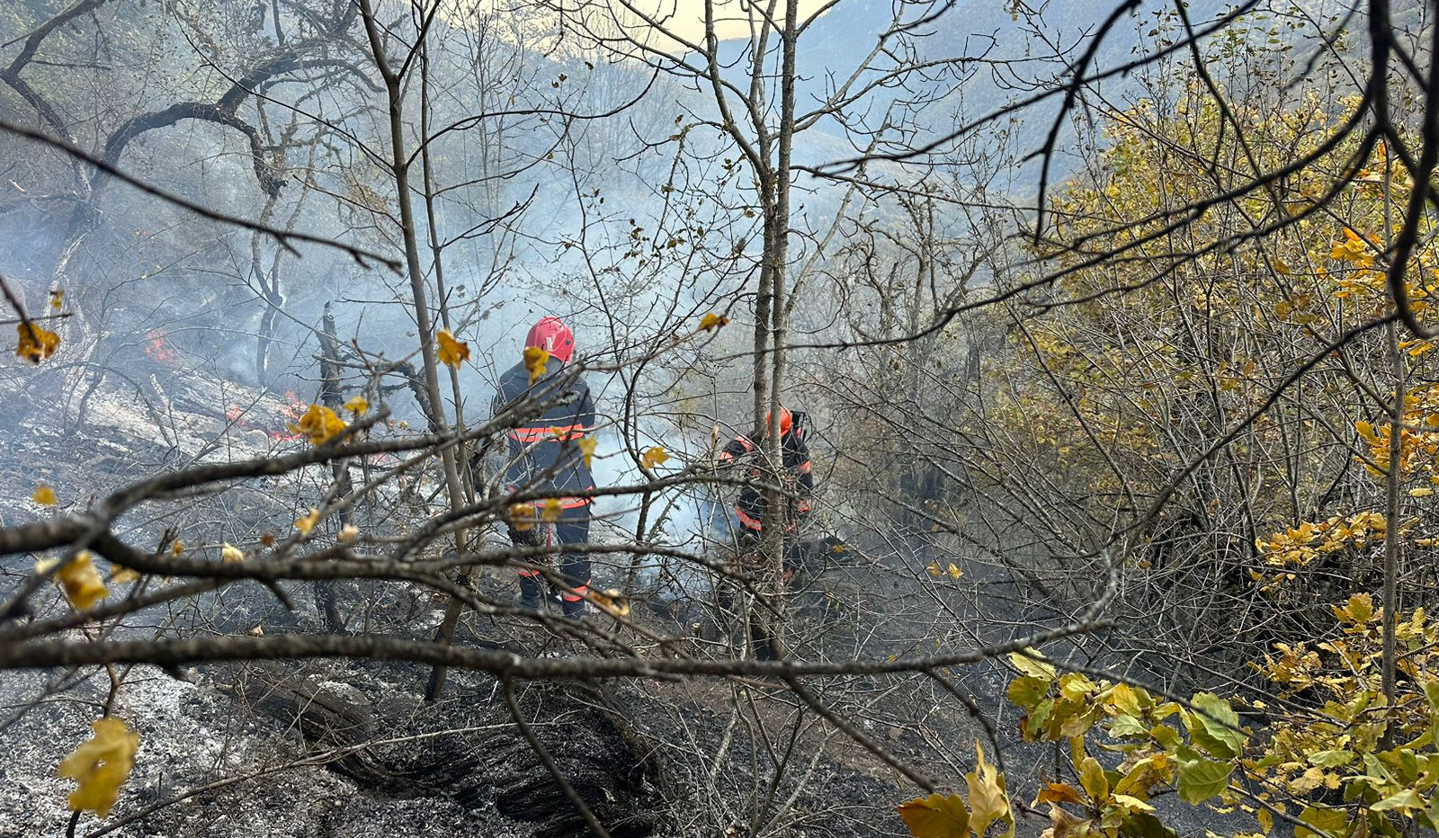 Հրդեհ Սյունիքի Ծավ գյուղի անտառամերձ հատվածում