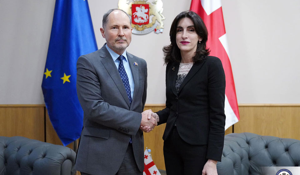 Georgian Foreign Minister, EU Ambassador meet