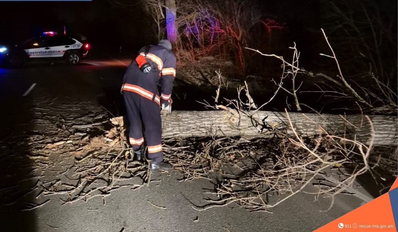 Քամու հետևանքով Լոռու և Գեղարքունիքի որոշ հատվածներում վնասվել են մեքենաներ, գազատար խողովակներ, տապալվել ծառեր