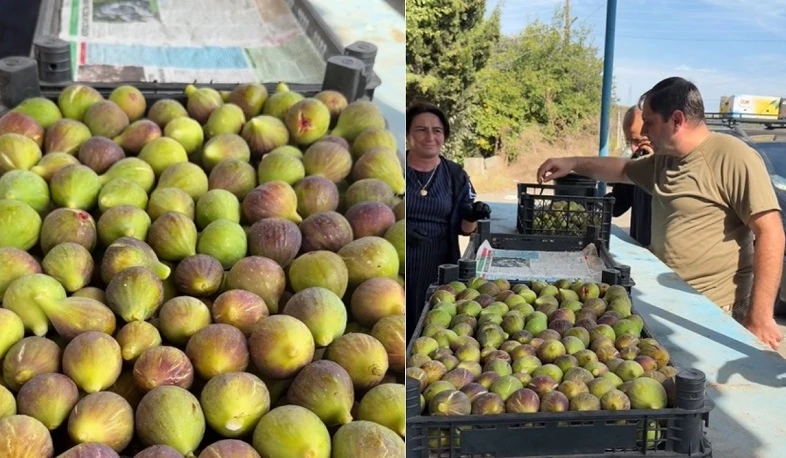 Պատկերասրահի նկար