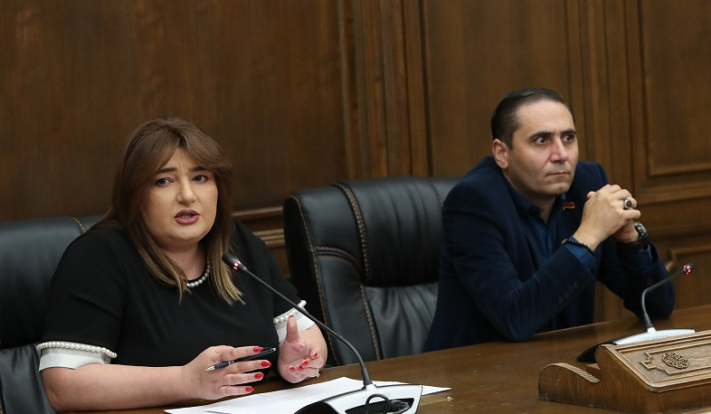 Մարդու անձնագրի պատճենը կարող է լինել ցանկացածի մոտ. Տոնոյանը՝ «Դոսյեի» հոդվածի մասին