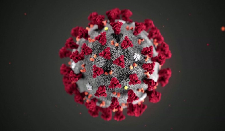 Обновление: 25.01.2021. Подтвержденное число случаев заболевания коронавирусом - 58, вылечилось 224 человек