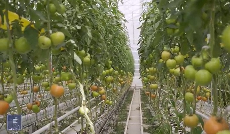 Պետությունը շարունակում է խրախուսել նորագույն տեխնոլոգիաներով ագրոմշակույթը